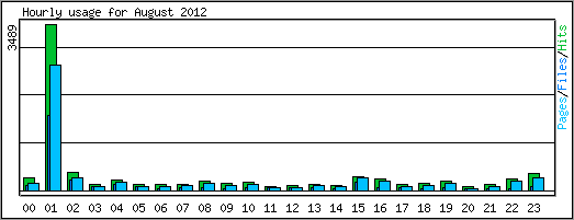 Hourly usage
