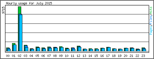 Hourly usage