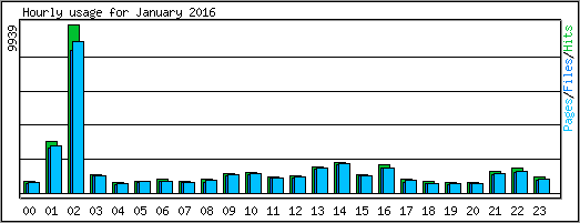 Hourly usage