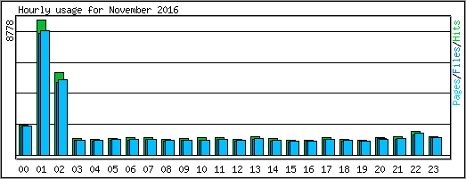 Hourly usage