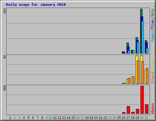 Daily usage for January 2010