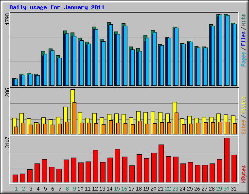 Daily usage for January 2011