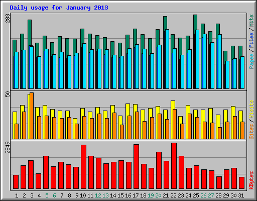 Daily usage for January 2013