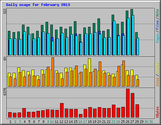 Daily usage for February 2013