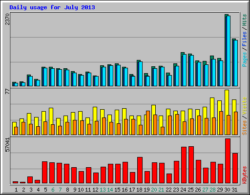 Daily usage for July 2013