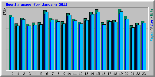 Hourly usage for January 2011