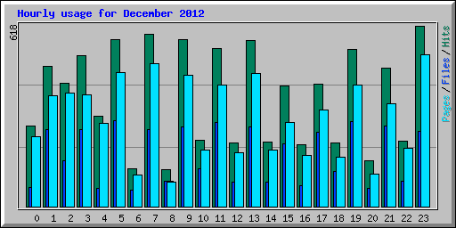 Hourly usage for December 2012
