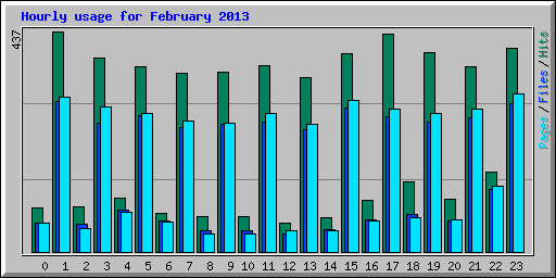 Hourly usage for February 2013