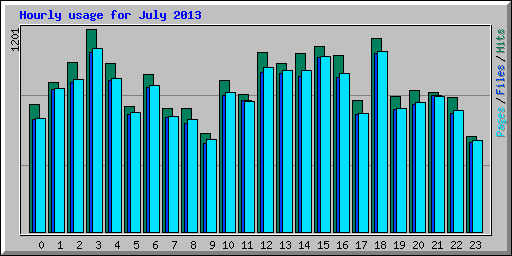 Hourly usage for July 2013
