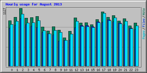 Hourly usage for August 2013