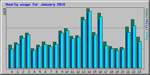 Hourly usage for January 2016