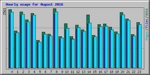 Hourly usage for August 2016