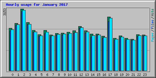 Hourly usage for January 2017