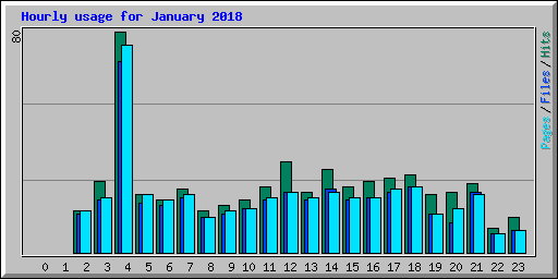 Hourly usage for January 2018